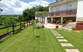 B&B 